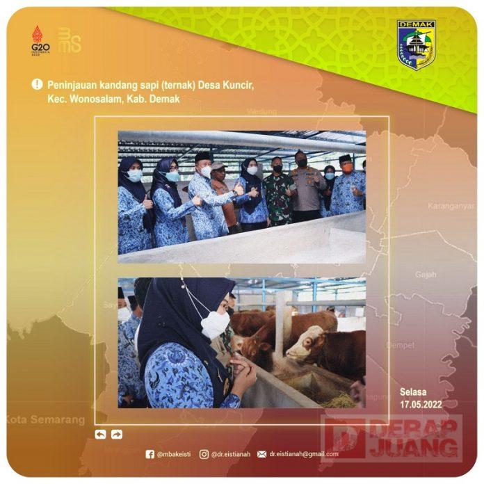 Tekan Persebaran Wabah PMK, Mbak Eisti Tinjau Kandang Sapi Desa Kuncir