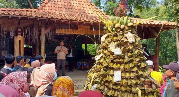 WhatsApp Image 2022-05-09 at 11.59.31