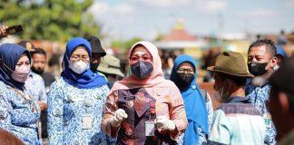 Antisipasi PMK Sapi, Sri Mulyani Tinjau Pasar Ternak