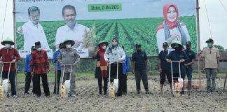 Bersama Kementan, Sri Mulyani Buka Gerakan Tanam Kedelai