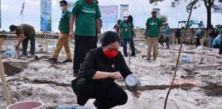 Pimpin Penghijauan di Lahan Eks Tambang, Puan: Jangan Habis Manis Sepah Dibuang