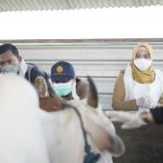 Percepat Penanganan PMK, Pemkab Demak Galakkan Vaksinasi Perdana PMK