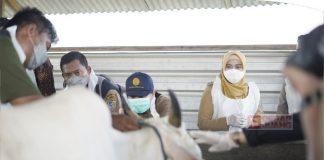 Percepat Penanganan PMK, Pemkab Demak Galakkan Vaksinasi Perdana PMK