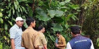 Ari Santoso Gelar Pengecekan JUT dan Alsintan