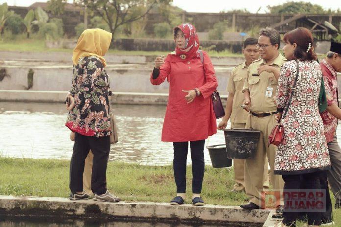 WhatsApp Image 2022-06-07 at 13.52.12