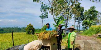 Sambangi Petani, Cara Any Serap Aspirasi
