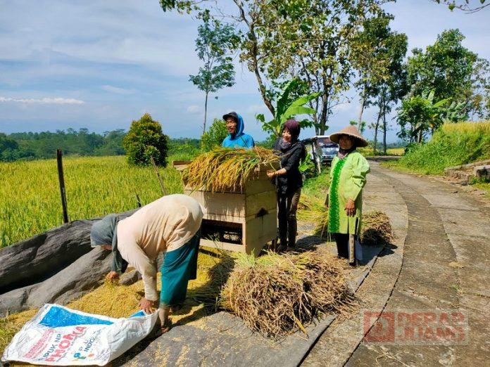 WhatsApp Image 2022-06-09 at 16.03.02