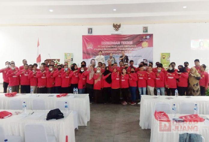 WhatsApp Image 2022-06-11 at 18.29.11