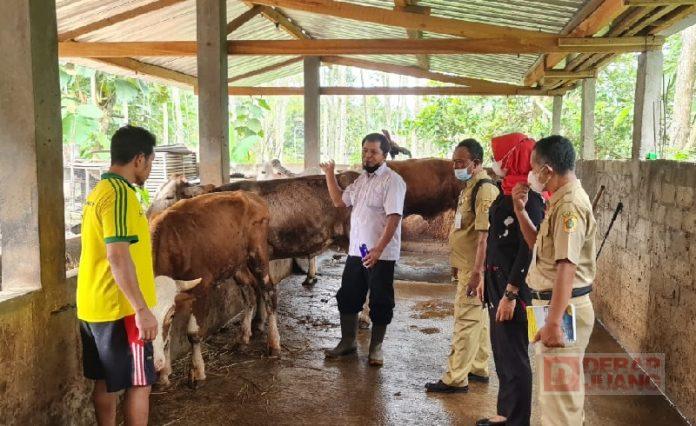 WhatsApp Image 2022-06-15 at 19.06.01