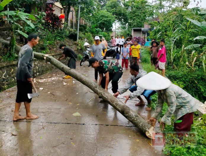 WhatsApp-Image-2022-06-22-at-10.44.05