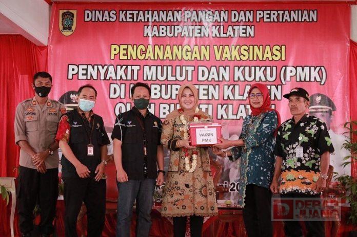 WhatsApp Image 2022-06-29 at 11.30.11 (1)