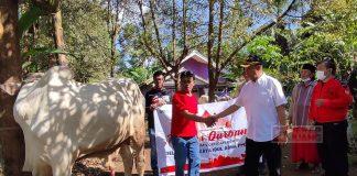 Anang Agus Kostrad Serah Bantuan Hewan Kurban dari Mbak Casytha