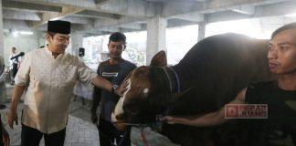 Mas Hendi Tinjau Proses Penyembelihan di Masjid Agung Semarang