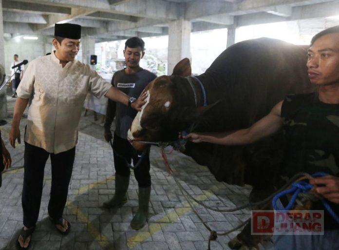 Mas Hendi Tinjau Proses Penyembelihan di Masjid Agung Semarang
