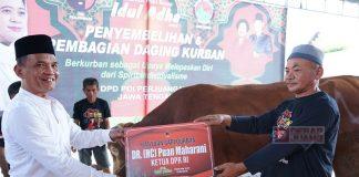 PDI Perjuangan Jateng Serahkan Hewan Kurban ke Masyarakat, Salah Satunya dari Mbak Puan