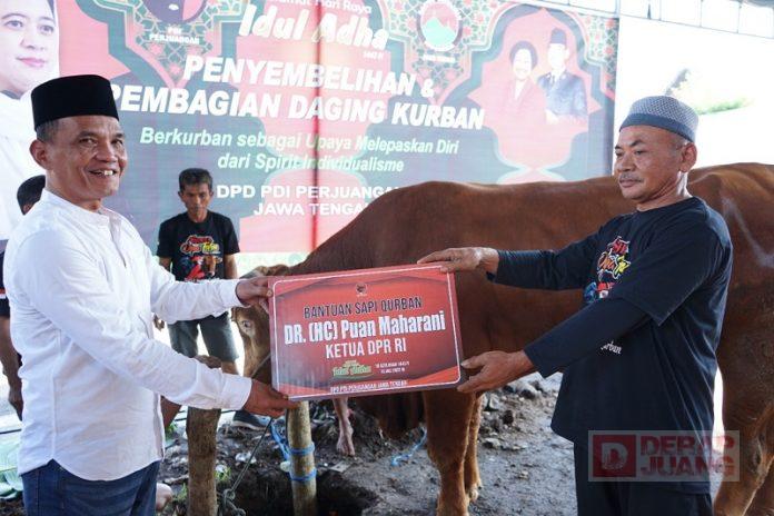 PDI Perjuangan Jateng Sembelih Hewan Kurban, Salah Satunya dari Mbak Puan (3)