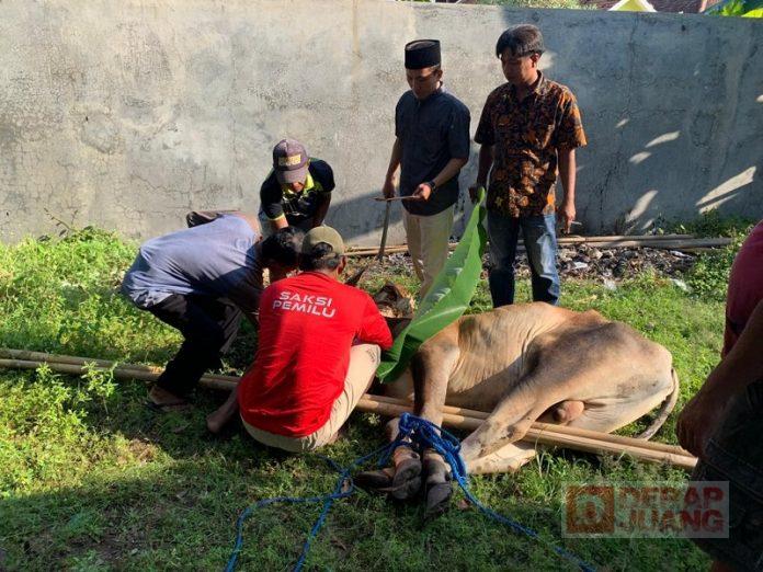 Slamet Hewan Kurban Ini Kita Persembahkan untuk Masyarakat