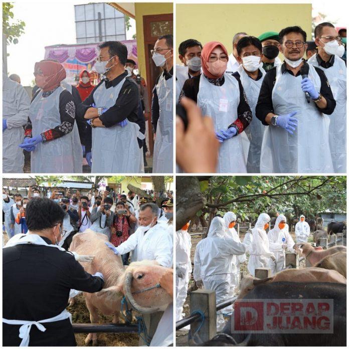 Temani Menteri Pertanian, Sri Sumarni Ceritakan Keberhasilan Tingkatkan Produksi Jagung Petani