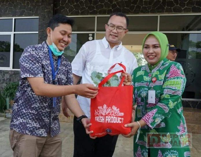 Wabup Etik Dorong Potensi Pertanian Kembangkan Buah Hidroponik