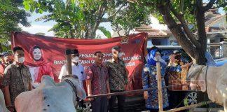Mbak Puan Salurkan Bantuan Hewan Kurban di Sukoharjo