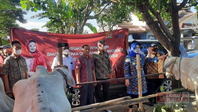 WhatsApp Image 2022-07-08 at 17.13.49