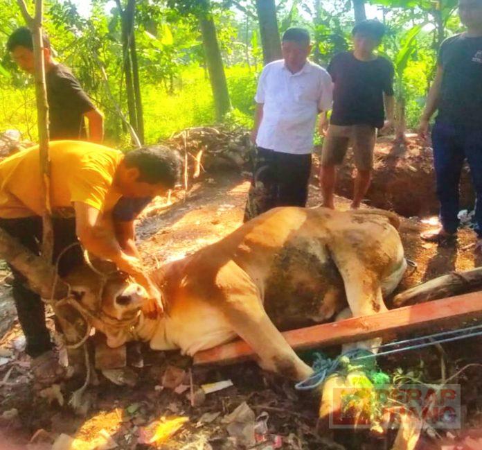 WhatsApp Image 2022-07-10 at 12.28.58