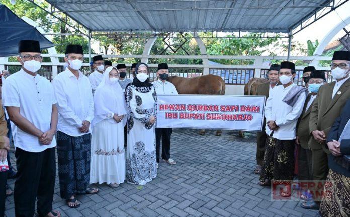 WhatsApp Image 2022-07-11 at 09.57.46