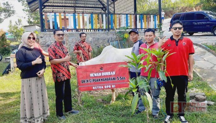 WhatsApp Image 2022-07-11 at 11.34.51