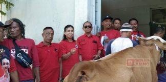PDI Perjuangan Kota Pekalongan Sembelih 3 Ekor Sapi dan 4 Ekor Kambing