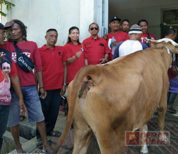 WhatsApp-Image-2022-07-12-at-06.54.43