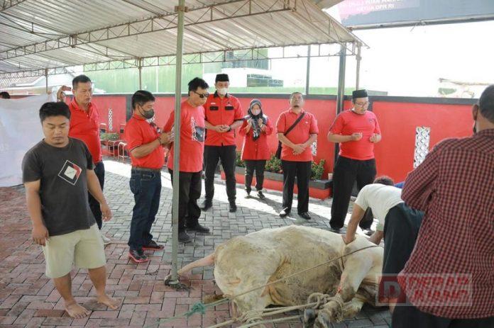 WhatsApp Image 2022-07-12 at 11.40.37