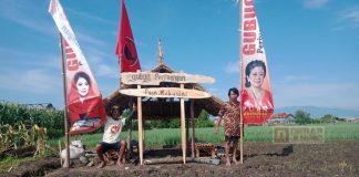 Gubug Perjuangan Puan Maharani, Saksi Kepedulian Puan pada Petani Bawang Brebes