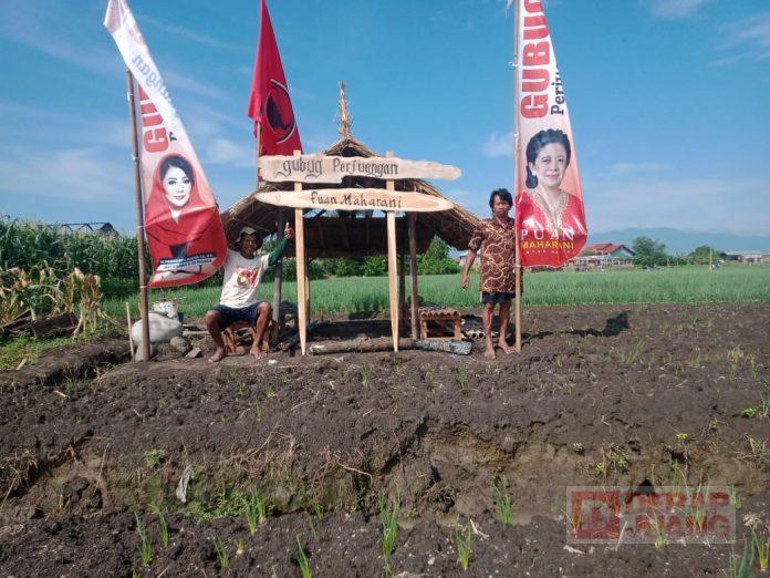 WhatsApp Image 2022-07-19 at 13.39.39