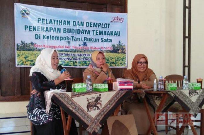 WhatsApp Image 2022-07-25 at 19.20.07