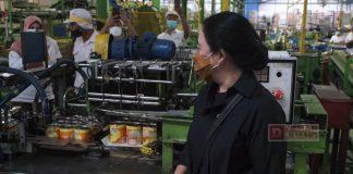 Tinjau Industri Nanas di Lampung, Puan Ingatkan Perusahaan-Petani Harus Sinergis