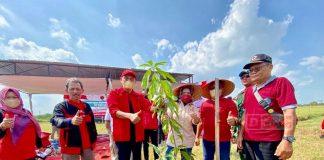 Dewi Aryani Canangkan Kawasan Buah dan Gizi Desa di Tegal