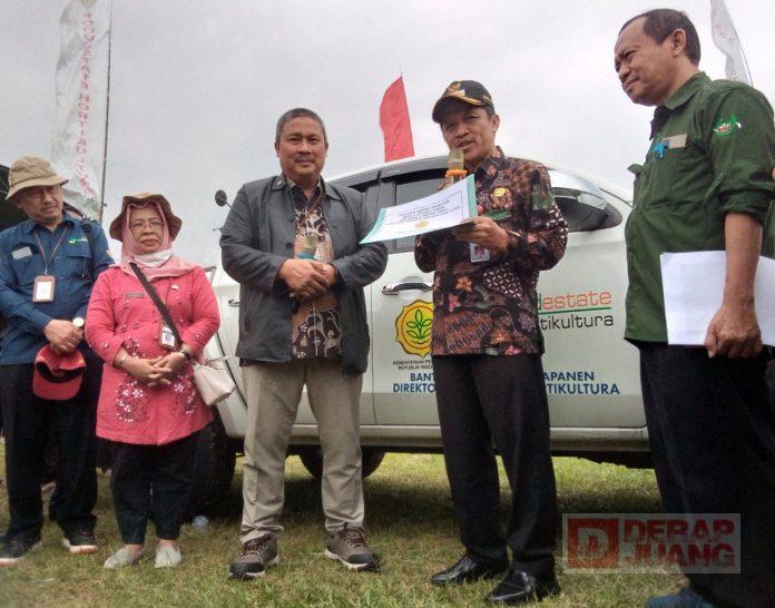 WhatsApp Image 2022-08-11 at 18.45.46