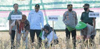 Sri Mulyani Optimis Cawas Bisa Jadi Soybean Village