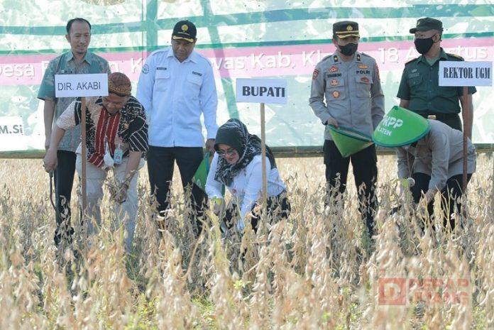 WhatsApp Image 2022-08-19 at 09.33.56