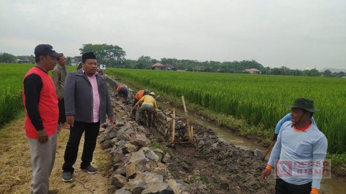 WhatsApp Image 2022-08-30 at 10.00.30