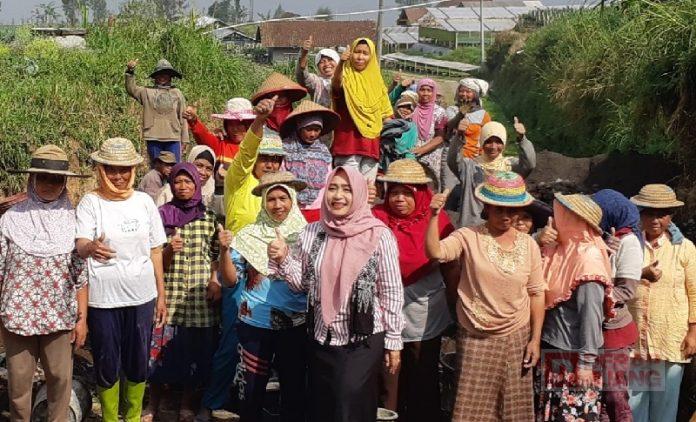 WhatsApp Image 2022-08-31 at 15.35.45