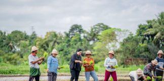 Puan Maharani Tanam Padi Bersama Petani di Badung