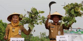 Bupati Demak Sarankan Petani Terapkan Teknologi Pertanian Cerdas Iklim