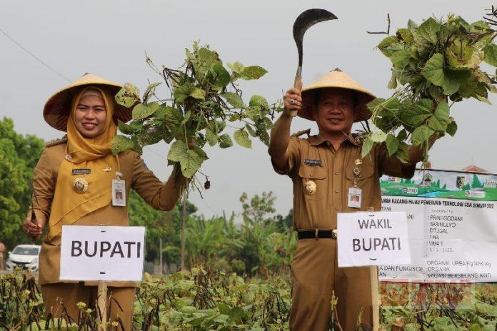 Bupati Demak Sarankan Petani Terapkan Teknologi Pertanian Cerdas Iklim