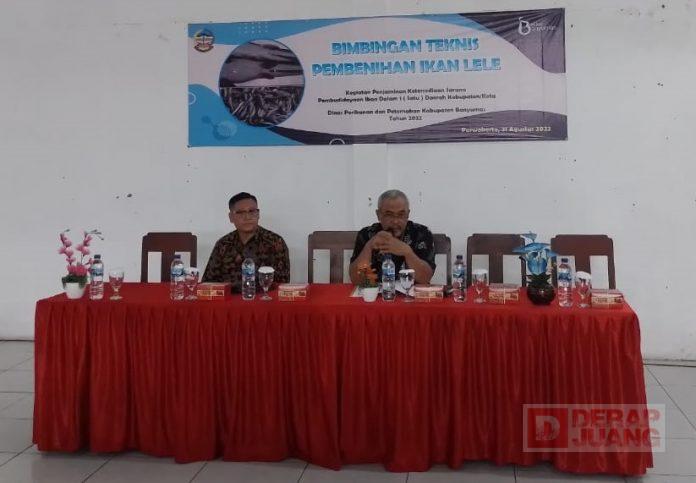 Dukung Giat Budidaya Ikan Lele, Pak Sam Gelar Bimtek Pembenihan