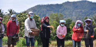 Disambut Meriah Warga, Puan Canangkan Program Dua Kali Tanam-Panen di Toba