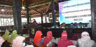 Optimalisasi Peran Bidan, Mbak Eisti Dorong Bidan Tumbuhkan Peran Penting dan Strategis