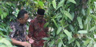 Berdayakan Vanili, Rober Dorong Bentuk Kelompok Tani