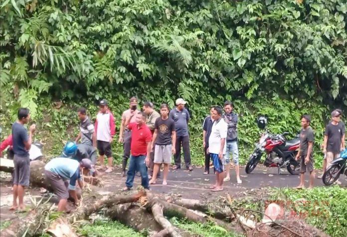 WhatsApp Image 2022-09-22 at 08.59.42