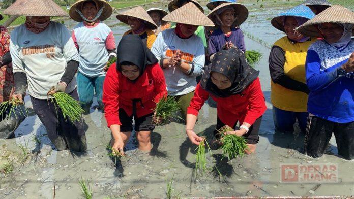 WhatsApp Image 2022-09-28 at 14.24.40